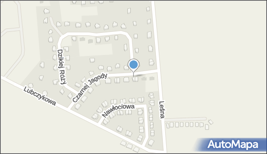 Amw Service - Aneta Wójtowicz, ul. Czarnej Jagody 7 55-003 - Przedsiębiorstwo, Firma, NIP: 8831734128