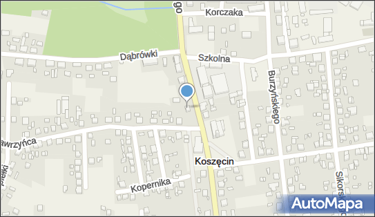 Anavis, ul. Sobieskiego 12c, Koszęcin 42-286 - Przedsiębiorstwo, Firma, NIP: 6261237684