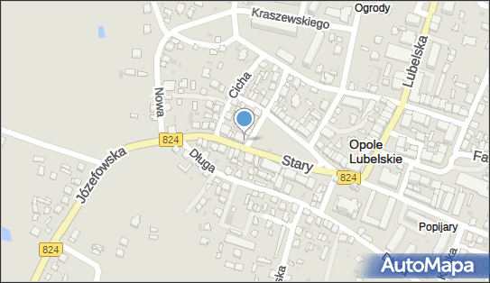 Ancom, Stary Rynek 38, Opole Lubelskie 24-300 - Przedsiębiorstwo, Firma, numer telefonu, NIP: 7171552158
