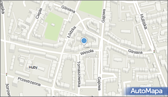 Andrei Zabauniuk, Wesoła 46, Wrocław 50-524 - Przedsiębiorstwo, Firma, NIP: 9121863319