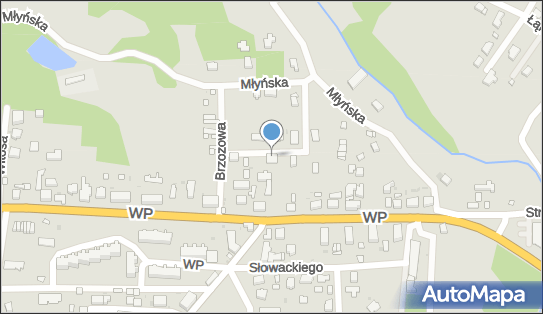 Andrzej Borkowski, Świerkowa 4, Torzym 66-235 - Przedsiębiorstwo, Firma, NIP: 9271009466