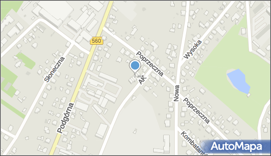 Andrzej Gagacki Transport Międzynarodowy i Krajowy, Brodnica 87-300 - Przedsiębiorstwo, Firma, NIP: 8741674115