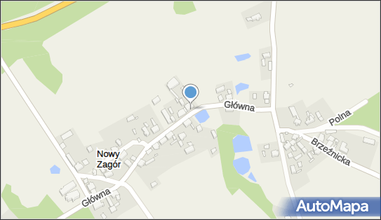 Andrzej Glaz Zakład Usług Leśnych, ul. Główna 24, Nowy Zagór 66-600 - Przedsiębiorstwo, Firma, NIP: 9261360417