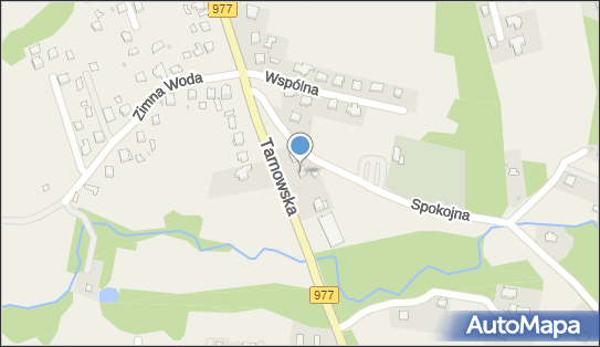 Andrzej Łabuz, Tarnowska 12, Tarnowiec 33-112 - Przedsiębiorstwo, Firma, NIP: 9930130687