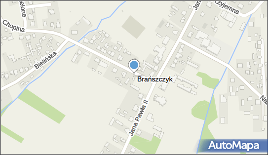 Andrzej Mikołajewski, ul. Fryderyka Chopina 1, Brańszczyk 07-221 - Przedsiębiorstwo, Firma, NIP: 7621217082