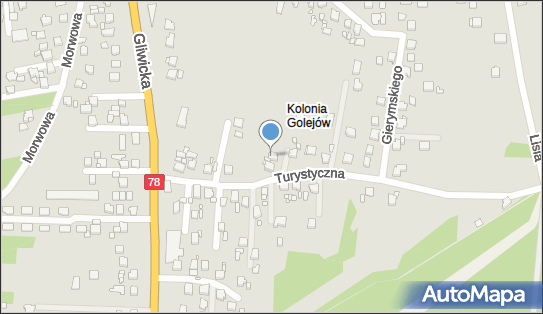 Andrzej Niedobecki - Działalność Gospodarcza, Turystyczna 13A 44-207 - Przedsiębiorstwo, Firma, NIP: 6420405149