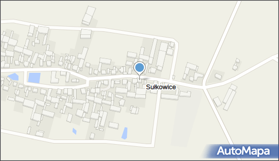 Andrzej Sarbinowski Transport Krajowy i Zagraniczny, Sułkowice 89 63-840 - Przedsiębiorstwo, Firma, NIP: 6961342377