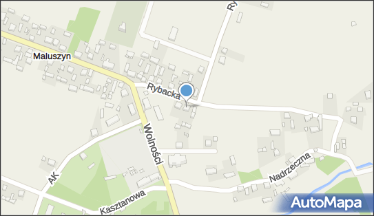 Aneta Lupa Przedsiębiorstwo Handlowo Usługowe Aneta, Maluszyn 97-532 - Przedsiębiorstwo, Firma, NIP: 9490501813