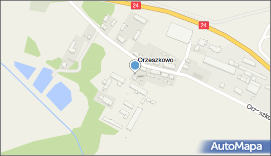 Aneta Nowak Handel i Usługi, Orzeszkowo 24, Orzeszkowo 64-420 - Przedsiębiorstwo, Firma, NIP: 7871828303