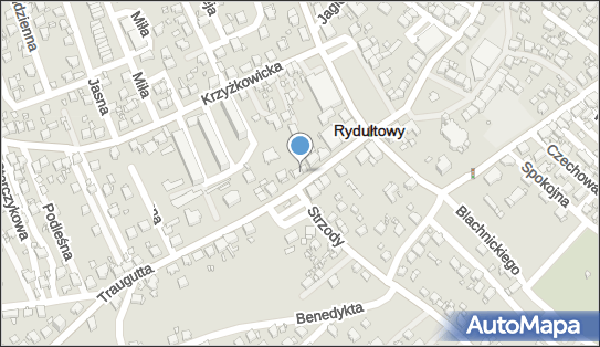 Angali New Collecion, ul. Romualda Traugutta 283, Rydułtowy 44-280 - Przedsiębiorstwo, Firma, NIP: 6472278800