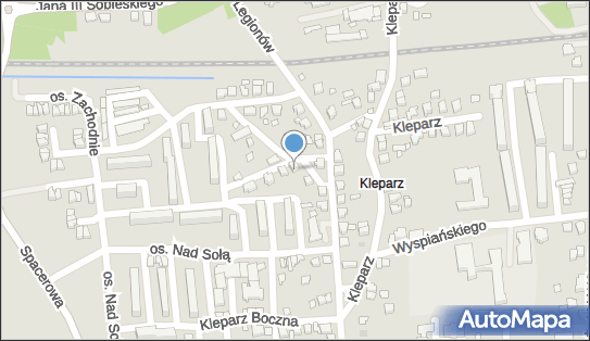 5490020514, Ania Kiosk Ogólnospożywczy Żywioł Anna 