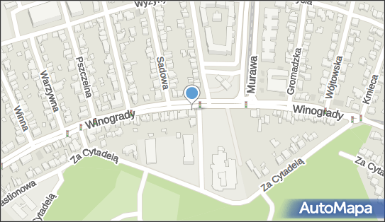 Anima Mundi, Winogrady 82, Poznań 61-659 - Przedsiębiorstwo, Firma, NIP: 9721220831