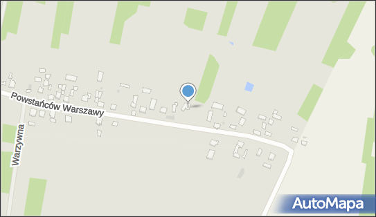 Anima Studio, ul. Powstańców Warszawy 41 A, Sochaczew 96-500 - Przedsiębiorstwo, Firma, NIP: 8371242078