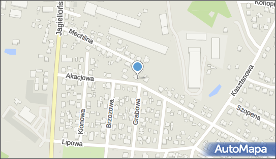 Animusz Firma Handlowa, ul. Grabowa 1, Nowe Miasto Lubawskie 13-300 - Przedsiębiorstwo, Firma, NIP: 8771164028