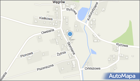 Anna Budzowska Przedsiębiorstwo Handlowo- Usługowe, Węgrów 20 55-095 - Przedsiębiorstwo, Firma, NIP: 9111645489