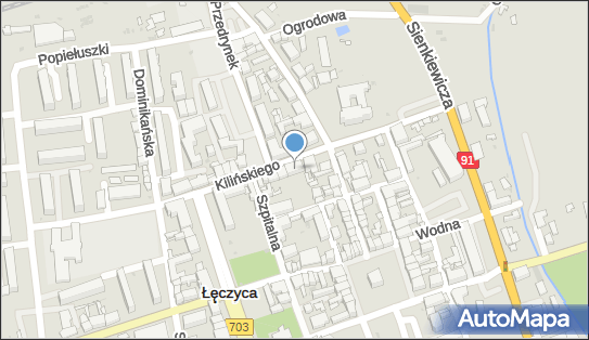 Anna Graczyk, ul. Jana Kilińskiego 12, Łęczyca 99-100 - Przedsiębiorstwo, Firma, NIP: 7750012583