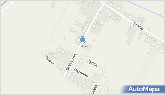 Anna Kmieciak-Hoffmann Usługi Wielobranżowe Czystość 64-000 - Przedsiębiorstwo, Firma, NIP: 6981451129