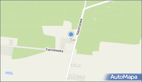 Anrasz Rafał Przytuła, Nastrojowa 57, Stary Adamów 95-070 - Przedsiębiorstwo, Firma, NIP: 7281838884