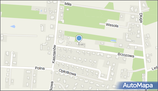 Anyżewski Piotr Zygmunt Indywidualne Specjalistyczne Usługi Medyczne 05-540 - Przedsiębiorstwo, Firma, NIP: 5211863427