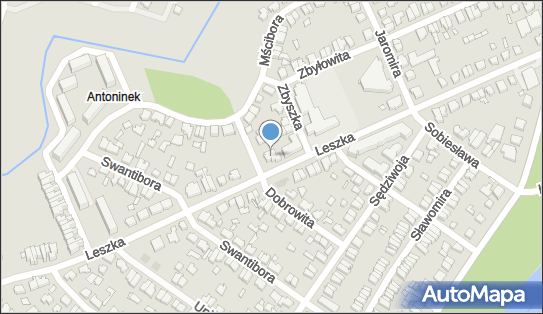Apex English Centrum Usług Językowych, Leszka 48, Poznań 61-062 - Przedsiębiorstwo, Firma, numer telefonu, NIP: 7821276391