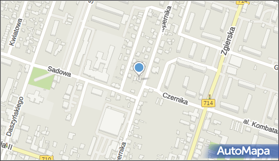 Apis Włodzimierz Kaźmierczak, ul. Mikołaja Kopernika 18 95-050 - Przedsiębiorstwo, Firma, NIP: 7271795038