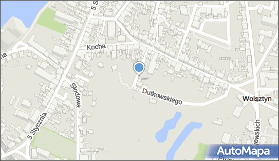 Apstel, Dutkowskiego Józefa 7, Wolsztyn 64-200 - Przedsiębiorstwo, Firma, NIP: 9231628387