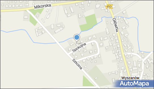 Armed Transport Sanitarny Arkadiusz Wojtkowski, Spokojna 24 98-400 - Przedsiębiorstwo, Firma, NIP: 6191482957