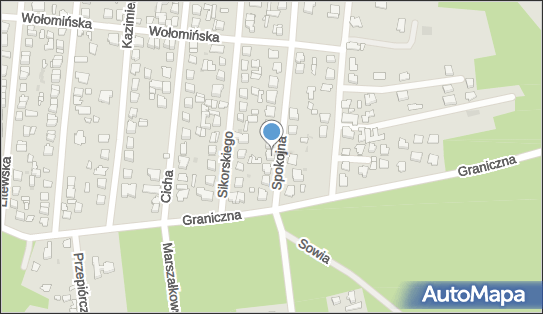 1250953003, Aro-Trans Arkadiusz Piwucki 