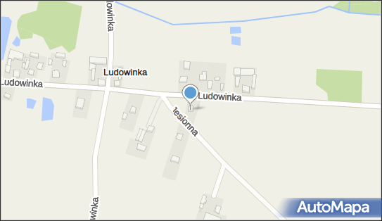 Arpol, Włodzimierz 29A, Włodzimierz 98-105 - Przedsiębiorstwo, Firma, NIP: 7311589487