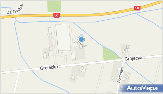Arsped Transport Spedycja Kaniewski Andrzej Kawęcki Ryszard 05-651 - Przedsiębiorstwo, Firma, NIP: 7971897798