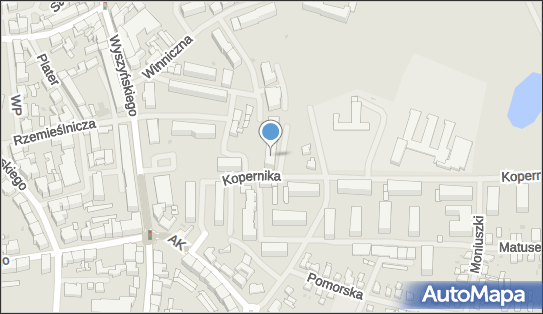 ART DOM firma remontowo budowlana, Kopernika Mikołaja 9b 78-400 - Przedsiębiorstwo, Firma, numer telefonu