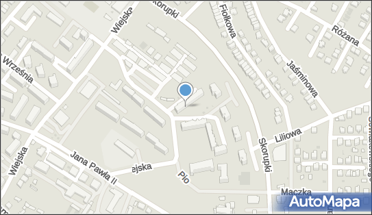 Art-Ego, Wiejska 26, Janów Lubelski 23-300 - Przedsiębiorstwo, Firma, NIP: 8621552036