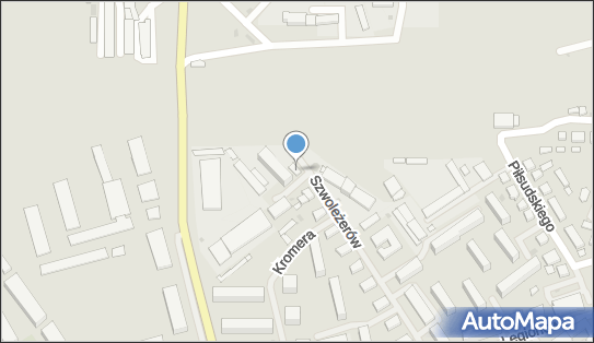 Art Pol Skup Surowców Wtórnych, Szwoleżerów 27 11-100 - Przedsiębiorstwo, Firma, NIP: 7391811366