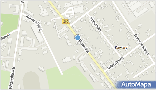 Artex Artur Andrzejewski, ul. Witkowska 24a, Gniezno 62-200 - Przedsiębiorstwo, Firma, NIP: 7842341260