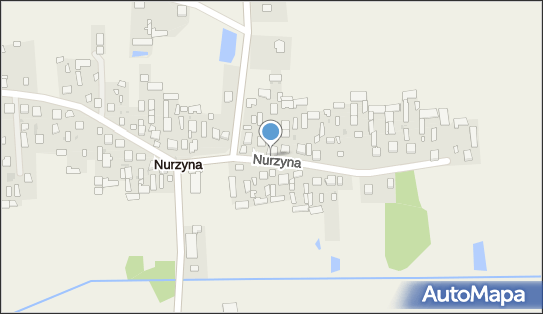 Artur Nurzynski, Nurzyna 12, Nurzyna 21-404 - Przedsiębiorstwo, Firma, NIP: 8252010249