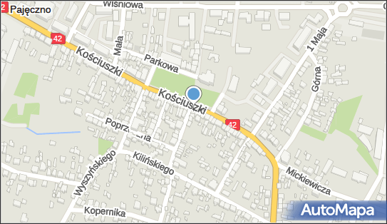 Artykuły Przemysłowe, ul. Kościuszki 31, Pajęczno 98-330 - Przedsiębiorstwo, Firma, NIP: 5741396844
