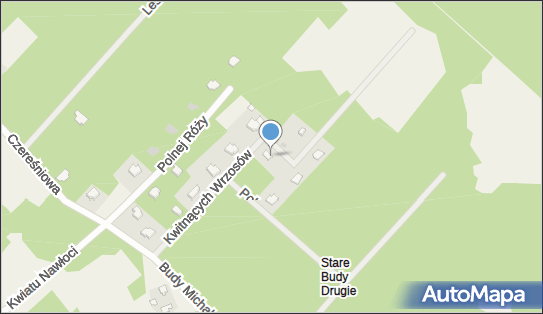 Arwen Design Studio, ul. Kwitnących Wrzosów 5, Budy Michałowskie 96-316 - Przedsiębiorstwo, Firma, numer telefonu, NIP: 5291799386