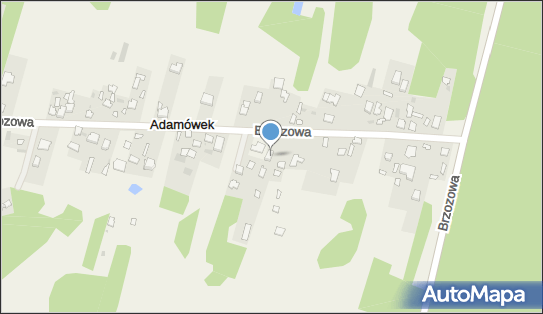 Asa Auto Serwice Ryznar Włodzimierz Ryznar, Brzozowa 29, Adamówek 05-152 - Przedsiębiorstwo, Firma, numer telefonu, NIP: 5311020065