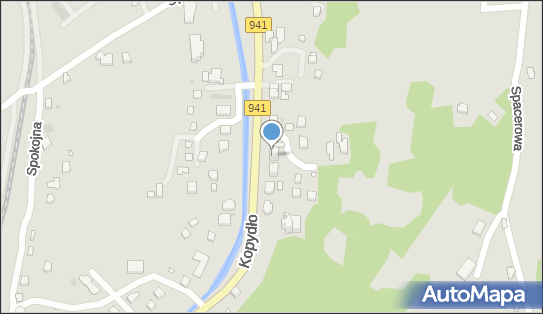 ASL, Kopydło 99, Wisła 43-460 - Przedsiębiorstwo, Firma, NIP: 5482180338