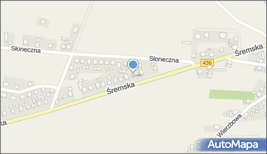 Astima, Śremska 3, Boguszyn 63-041 - Przedsiębiorstwo, Firma, NIP: 8272108997