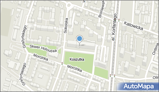 Audit, pl. Grunwaldzki 8-10, Katowice 40-950 - Przedsiębiorstwo, Firma, numer telefonu, NIP: 6341018079