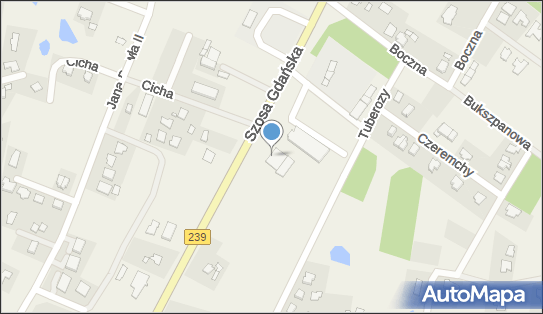 Auto Centrum Maria Alicja, Szosa Gdańska 72, Osielsko 86-031 - Przedsiębiorstwo, Firma, numer telefonu, NIP: 5541404450