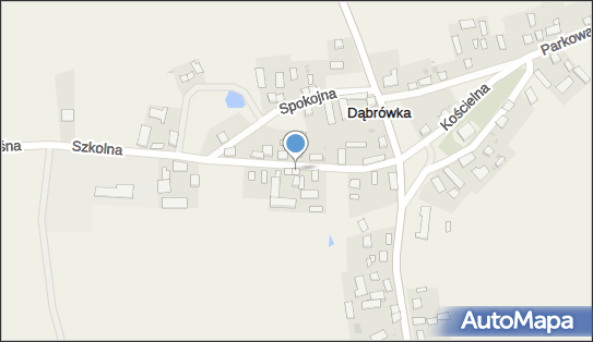 Auto-Handel Górski, Górski Łukasz, ul. Szkolna 7, Dąbrówka 89-430 - Przedsiębiorstwo, Firma, NIP: 5040038454