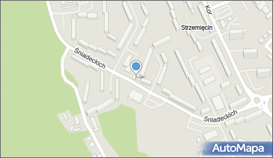 Auto - Handel Komis - Pośrednictwo Kosmetyka Samochodów Benedykt Kowalski 86-300 - Przedsiębiorstwo, Firma, NIP: 8761236631