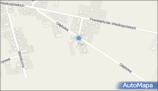 Auto-Handel Mariusz Czapla, Głęboka 6, Przemęt 64-234 - Przedsiębiorstwo, Firma, NIP: 9231593708