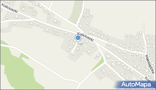 Auto Handel Usługi Transportowe, Wąska 3, Niegowonice 42-454 - Przedsiębiorstwo, Firma, NIP: 6491606139