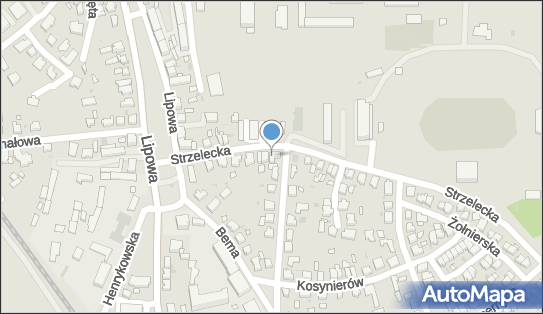 Auto Handel Usługi Transpotowe, Strzelecka 10, Leszno 64-100 - Przedsiębiorstwo, Firma, NIP: 6972021814