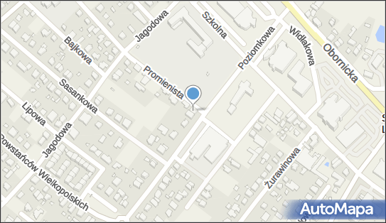 Auto-Jan Zygmunt Piątkowski, Poziomkowa 2, Suchy Las 62-002 - Przedsiębiorstwo, Firma, NIP: 7771753646