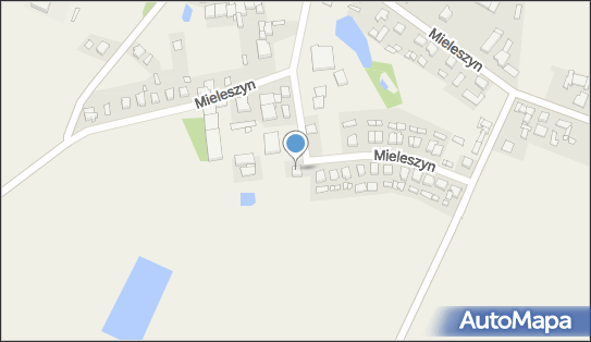 Auto Napraw Paweł Głowski, Mieleszyn 109, Mieleszyn 62-212 - Przedsiębiorstwo, Firma, NIP: 7842036479