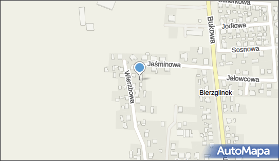 Auto Naprawa Auto Pomoc Handel Oponami Poch Zagr, Wierzbowa 1a 62-303 - Przedsiębiorstwo, Firma, NIP: 7890006648